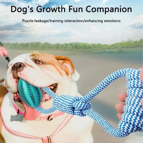 Durable Braided Rope Pet Chew Toy Ball