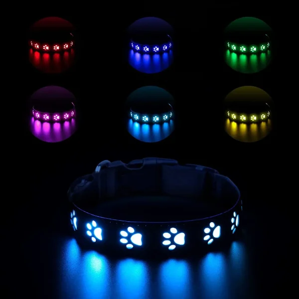 Rechargeable LED Dog Nylon Collar Rainproof USB-C