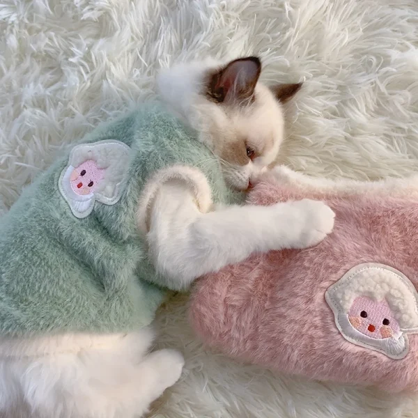 Warm Kitten Clothes for Winter
