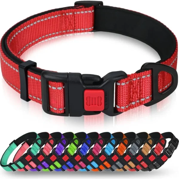 Reflective Nylon Dog Collar with Safety Locking Buckle, for Large Dogs
