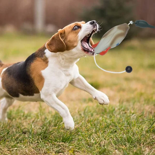 Knot Dog Toys – Indestructible, Durable & Interactive Chew and Tug Toys